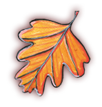feuille 03